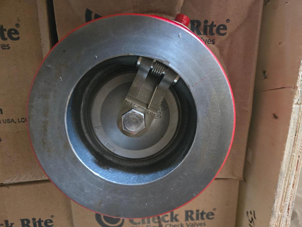 4" Check Valve (New / Unused), Bray Rite V0412CMZ 125# PG# 0050