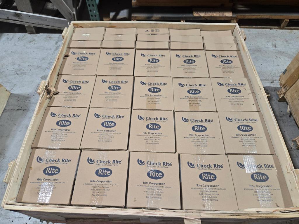 4" Check Valve (New / Unused), Bray Rite V0412CMZ 125# PG# 0050