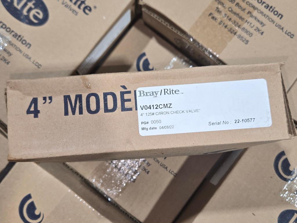 4" Check Valve (New / Unused), Bray Rite V0412CMZ 125# PG# 0050