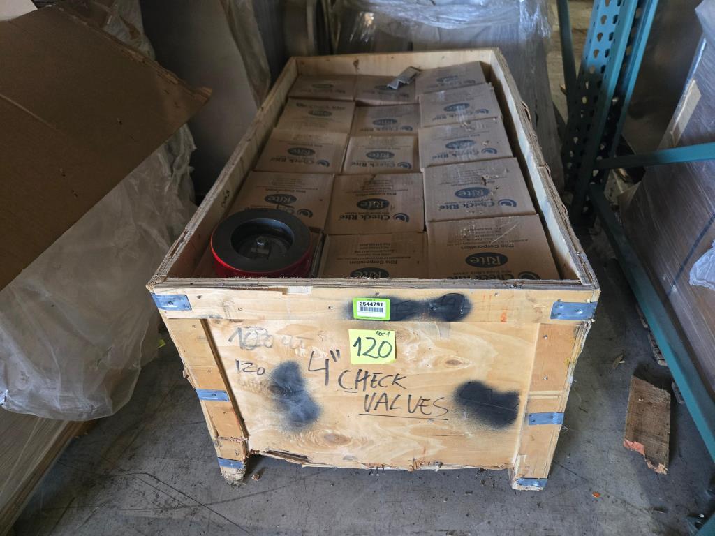 4" Check Valve (New / Unused), Bray Rite V0412CMZ 125# PG# 0050