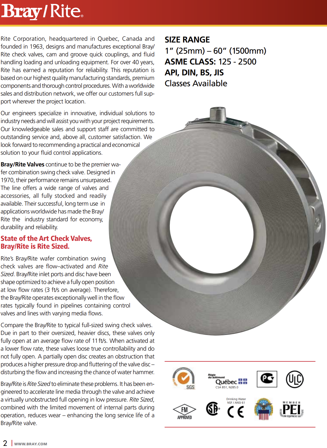 4" Check Valve (New / Unused), Bray Rite V0412CMZ 125# PG# 0050